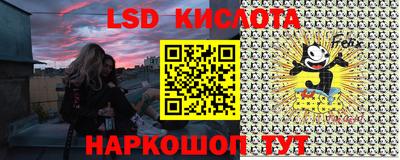 шишки Шебекино