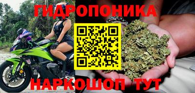 шишки Шебекино